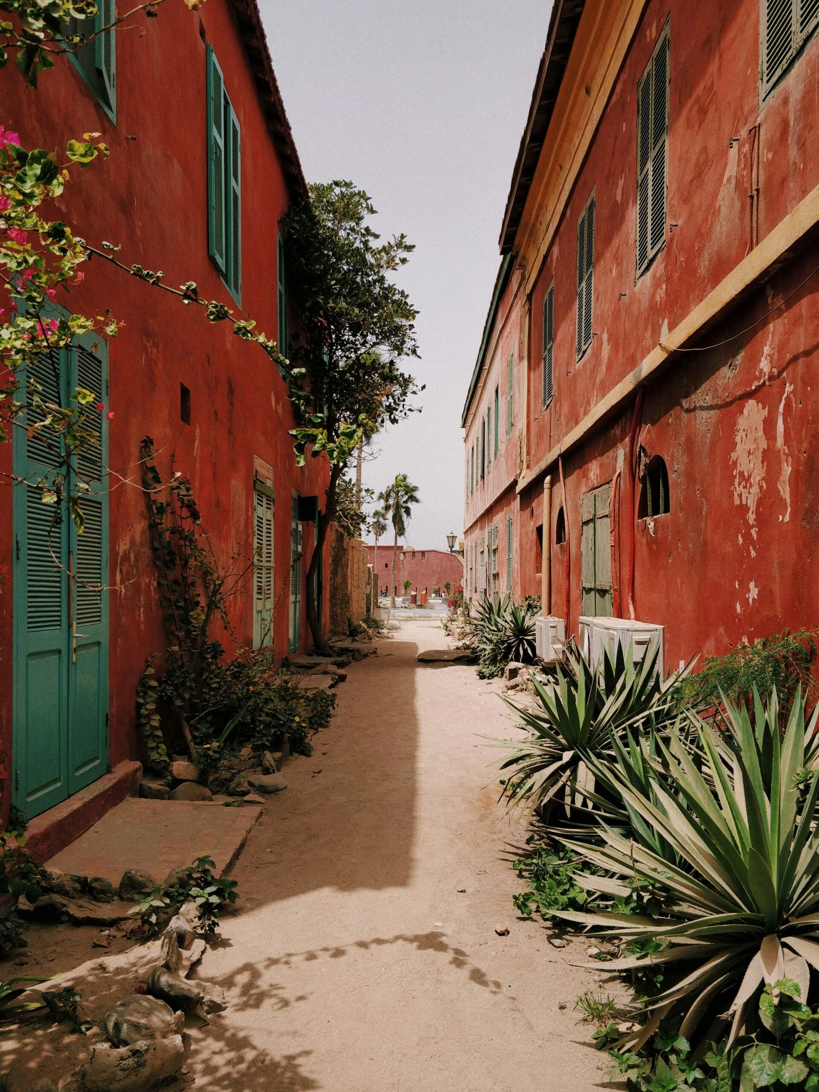 rue du Sénégal aux couleurs vives et ensoleillées